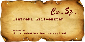 Csetneki Szilveszter névjegykártya