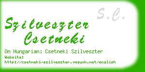 szilveszter csetneki business card